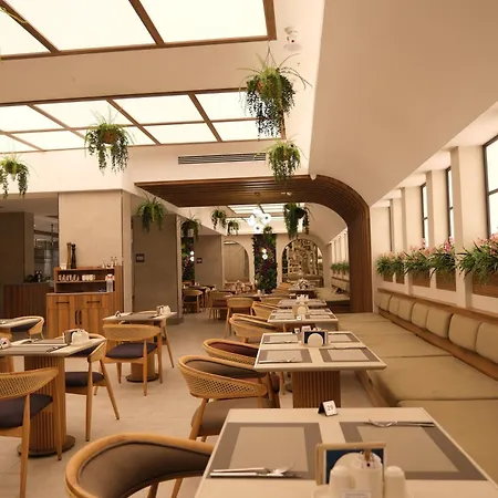 Sia Thermal & Bursa Отель Nilufer