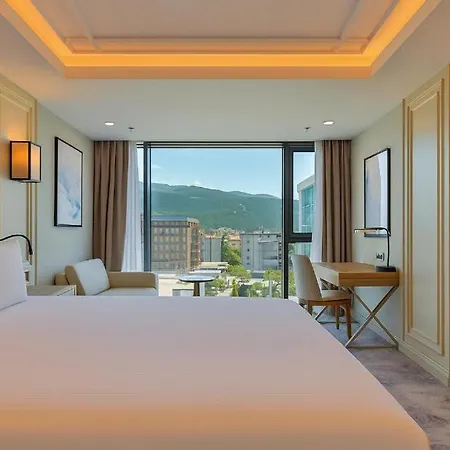 Sia Thermal & Bursa Отель Nilufer